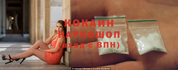 индика Михайлов