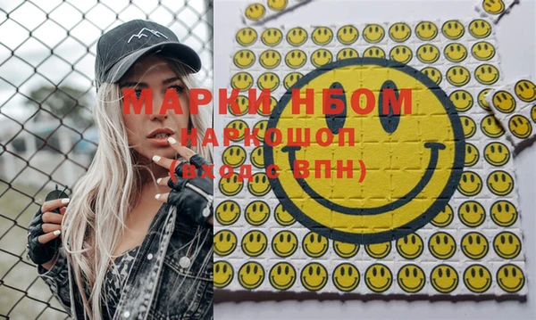 прущие грибы Михайловка