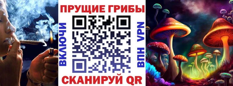 Псилоцибиновые грибы MAGIC MUSHROOMS  Дмитриев 